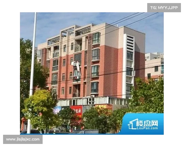 网球比赛世界排名解析与影响因素探讨及未来趋势分析
