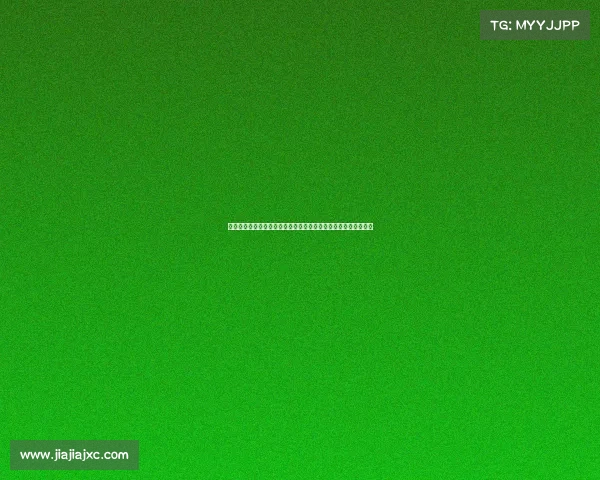 聚焦球队阵容深度剖析与战术布局探讨打造冠军级球队的关键要素